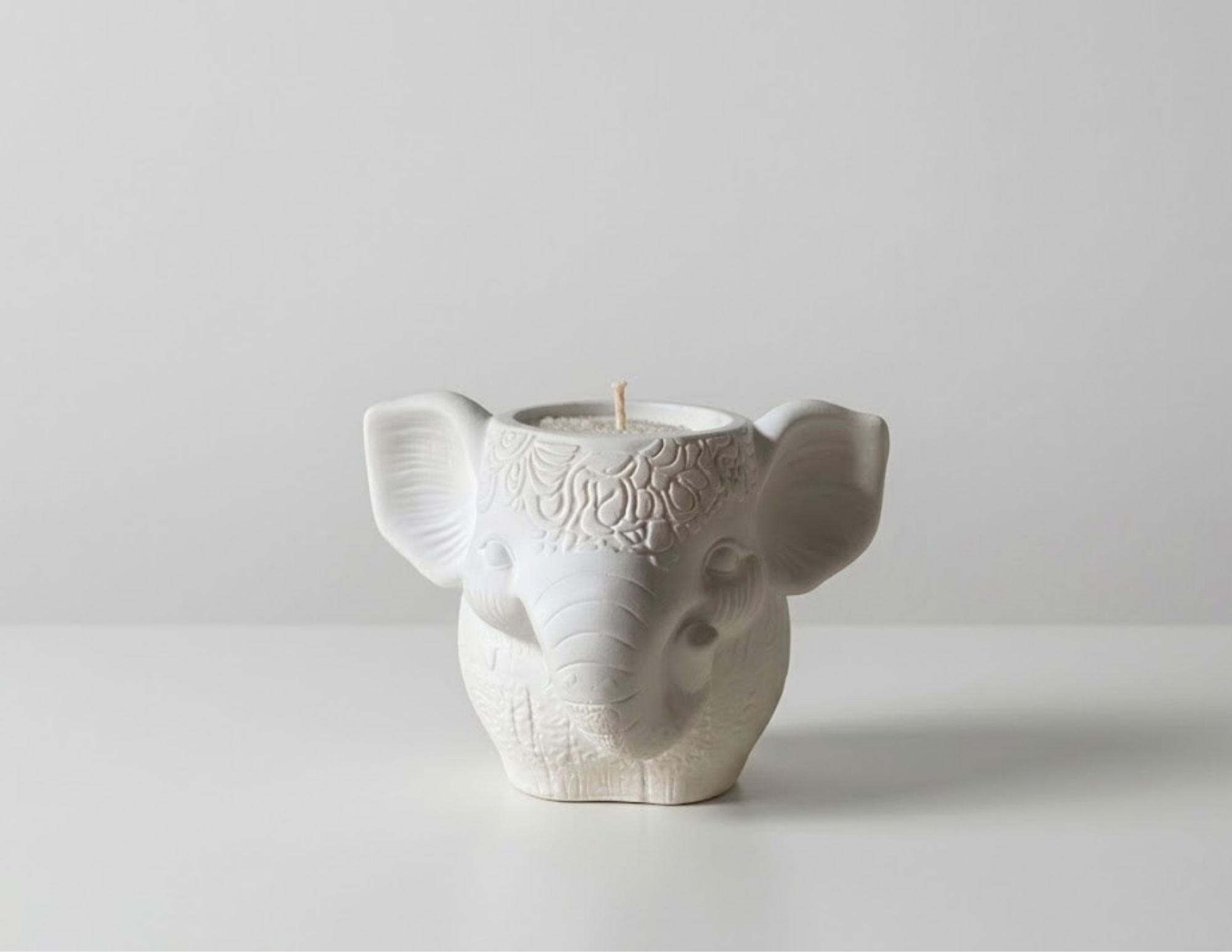 Serene Elephant